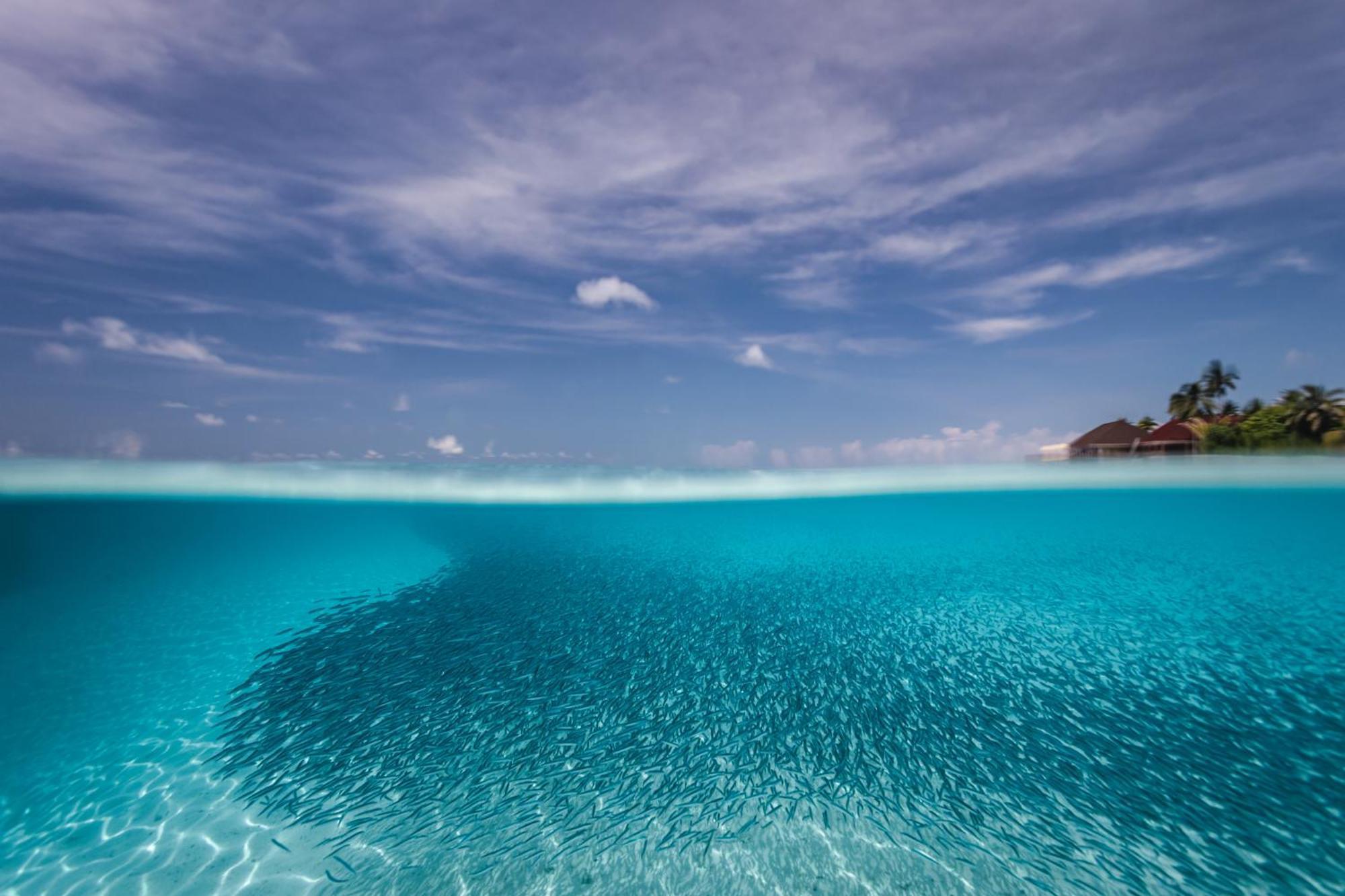 Dhigufaru Island Resort Kudarikilu Esterno foto