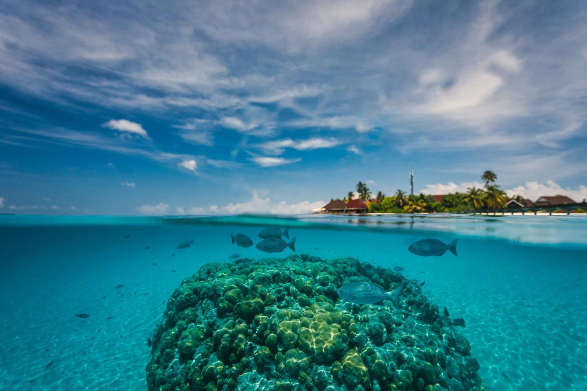 Dhigufaru Island Resort Kudarikilu Esterno foto