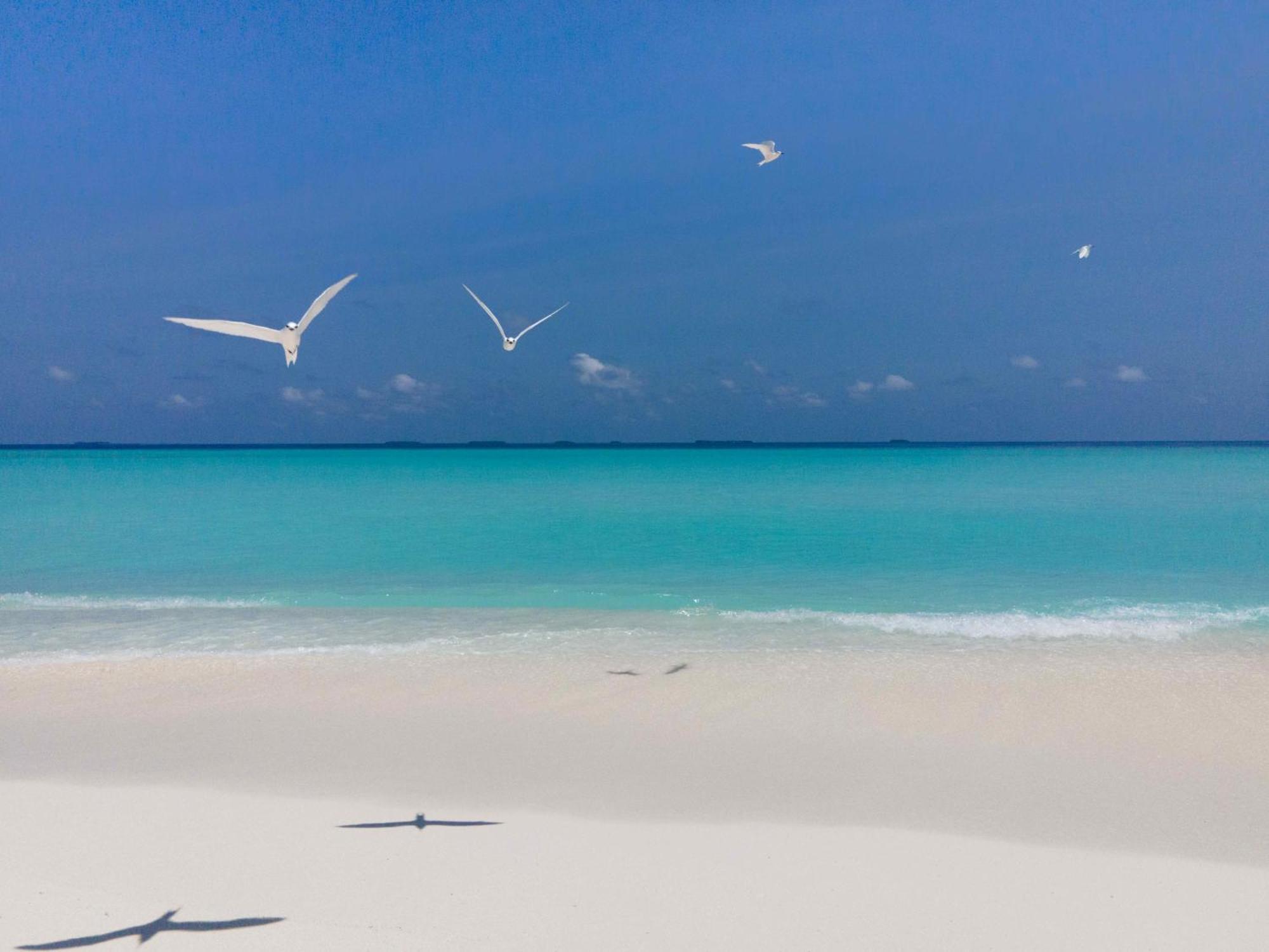 Dhigufaru Island Resort Kudarikilu Esterno foto